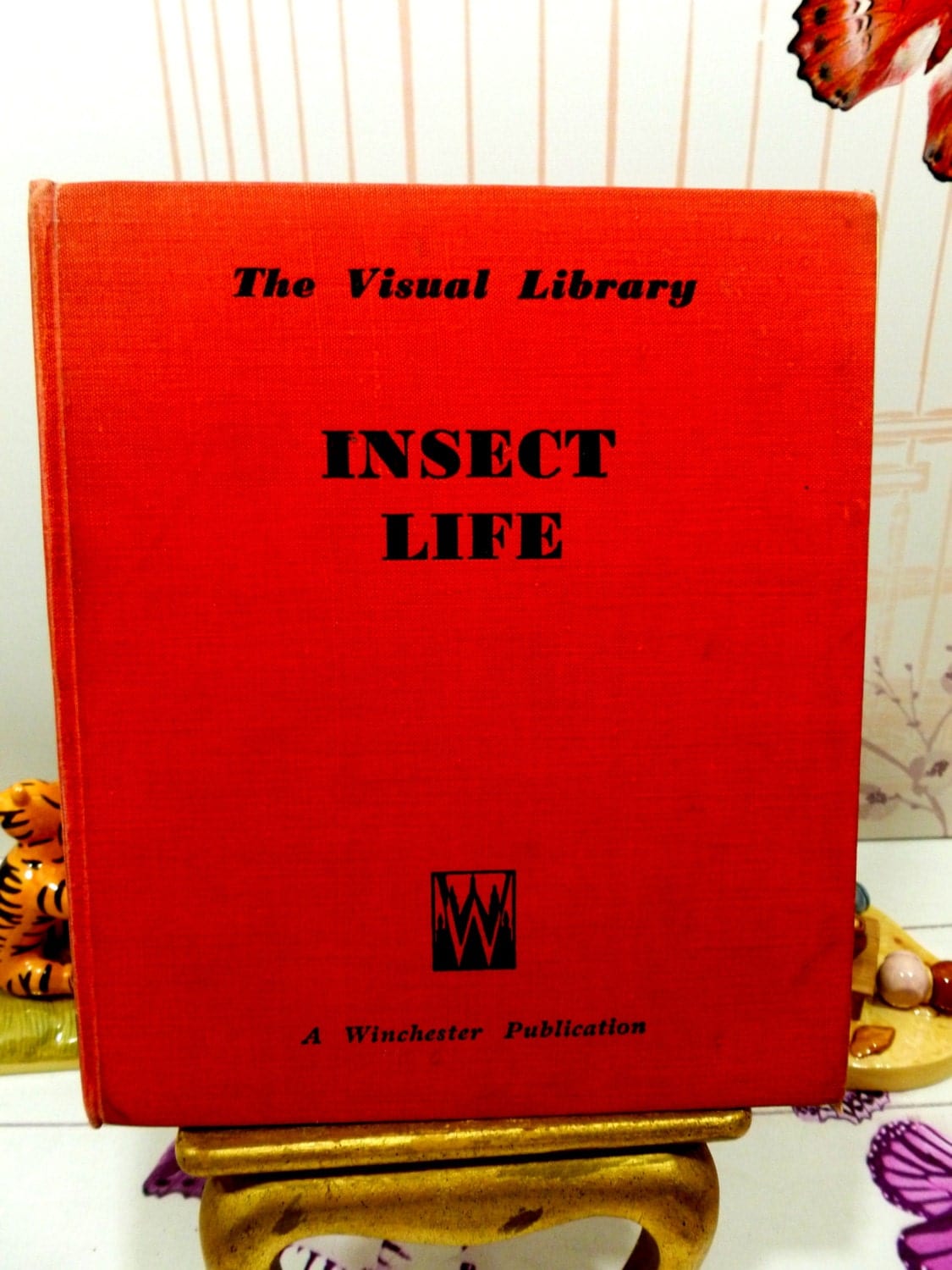 Insect Life Fun Educational Cartoon Book Life of Honey Bee, Ant, Spider, Silkworm, Fly, 1940s Great Illustrations 1st Ed