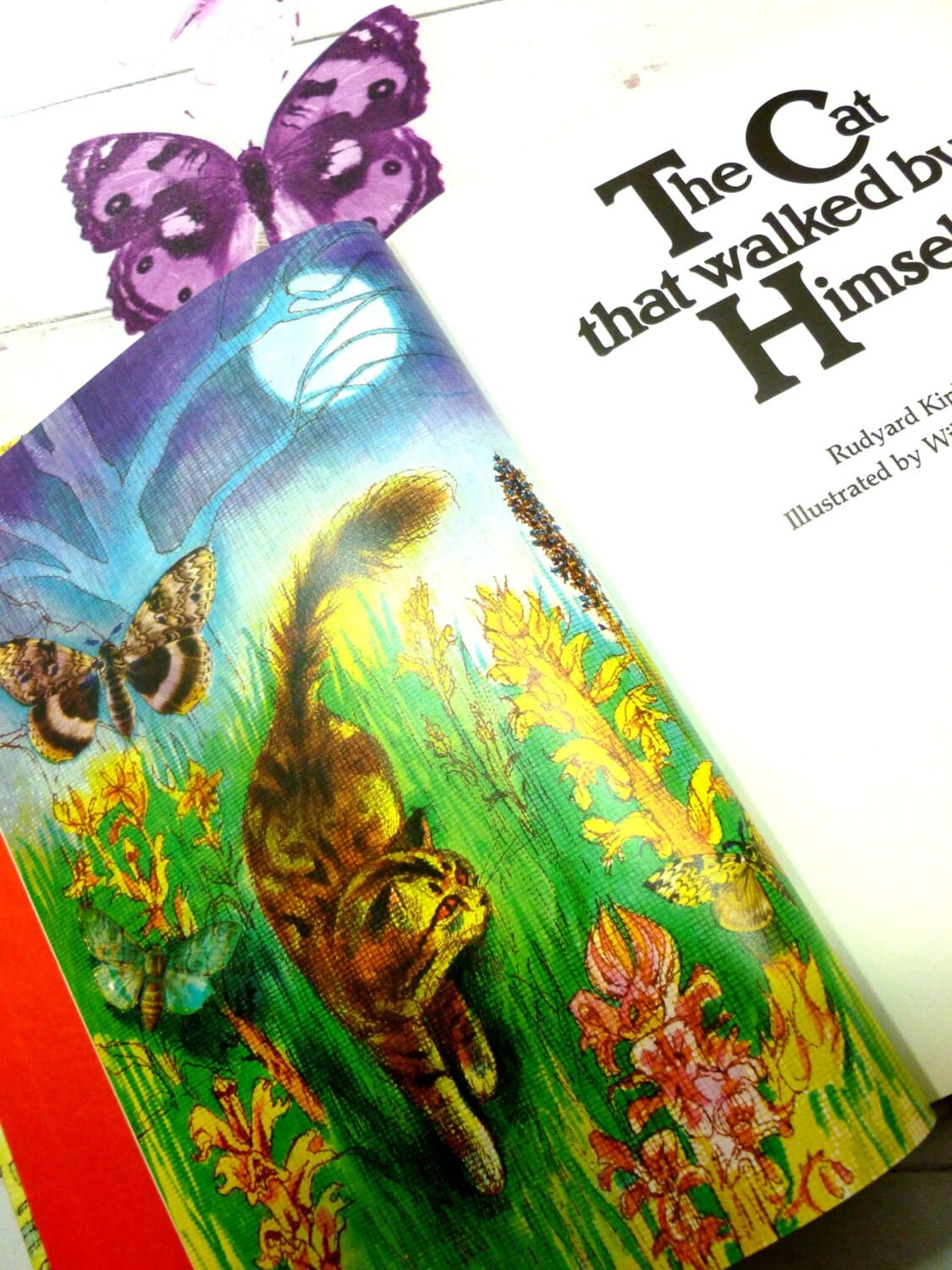 The Cat that Walked by Himself Rudyard Kipling Beautifully Illustrated Vintage Childrens Book 1st Edition Thus 1980s