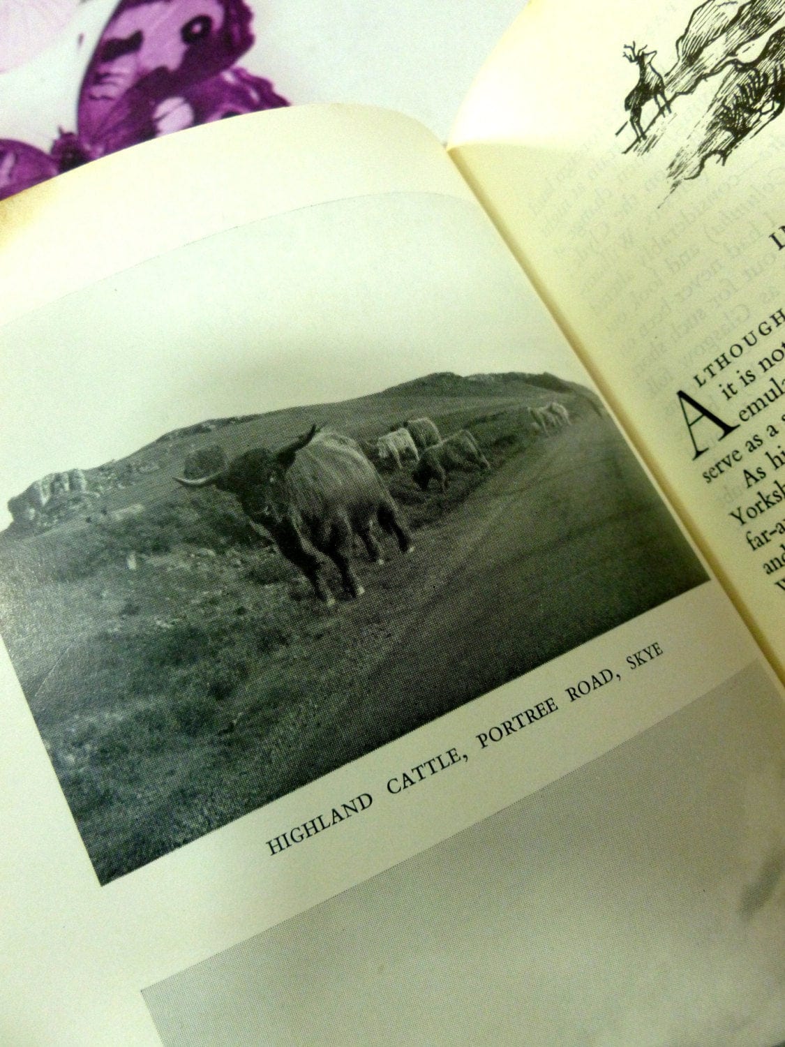 Gairloch, Wester Ross and Skye Scottish Interest Book written by Highlander 1962 1st ed And it came to Pass by Bee Jay