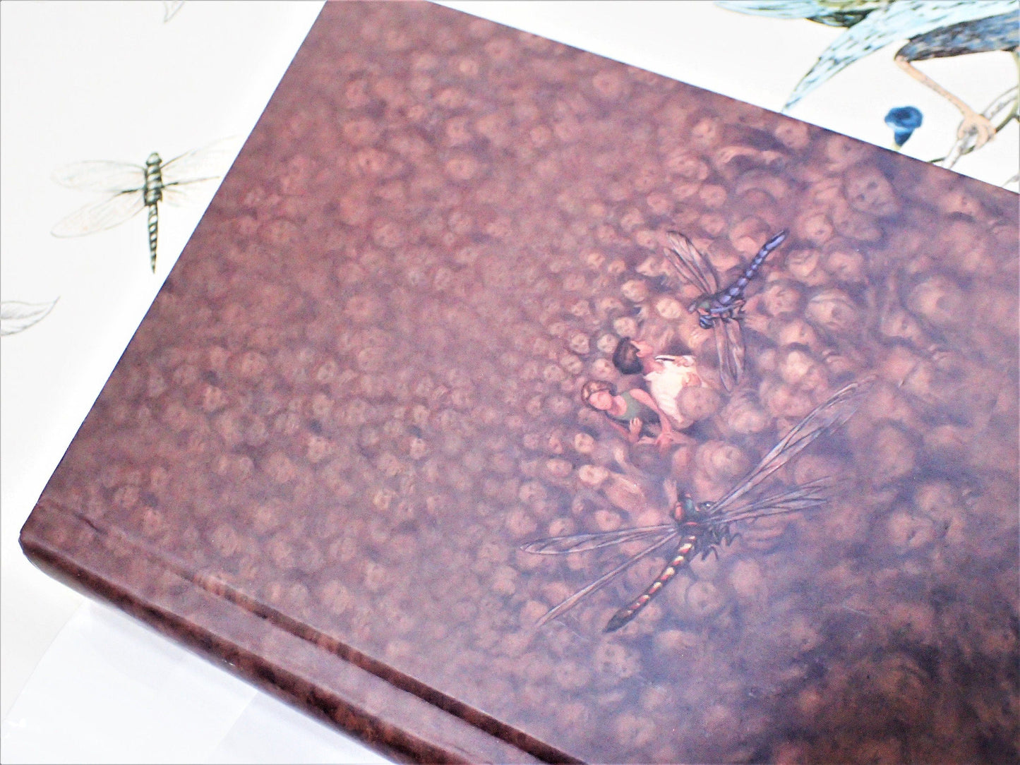 Signed Philip Pullman The Golden Compass Lyras Oxford First Editions First Printing Subtle Knife Amber Spyglass The Northern Lights Trilogy