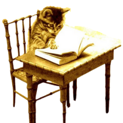 Kittys Tales brand mascot kitten reading a book sat at a table 