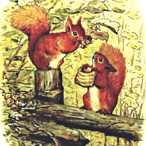 Two cute red squirrels Timmy Tiptoes from Beatrix Potter Children's Book