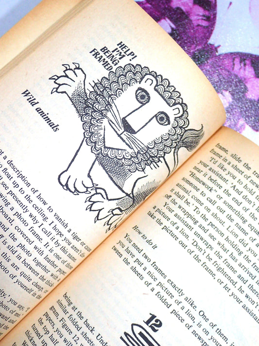 Lion-illustration-in-vintage-childrens-Puffin-Book-of-Magic
