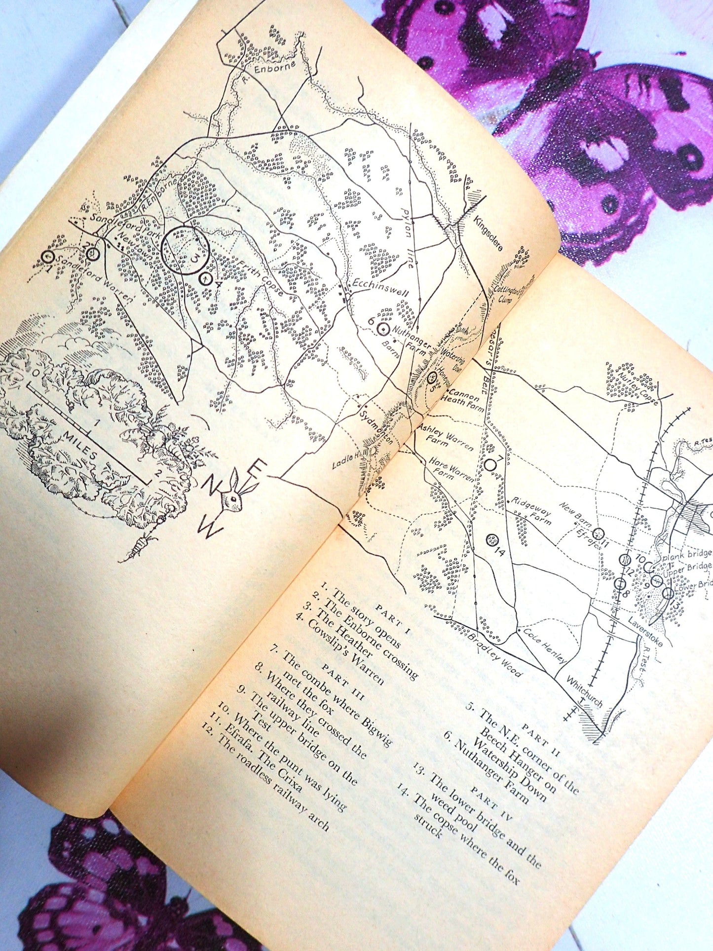 Map in Watership Down by Richard Adams 1970's Vintage Puffin Book