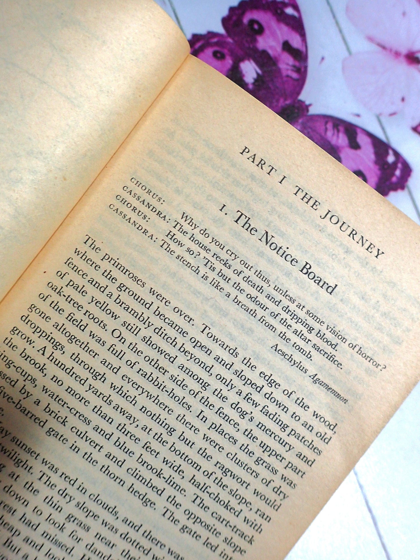 First Page of Watership Down by Richard Adams 1970's Vintage Puffin Book