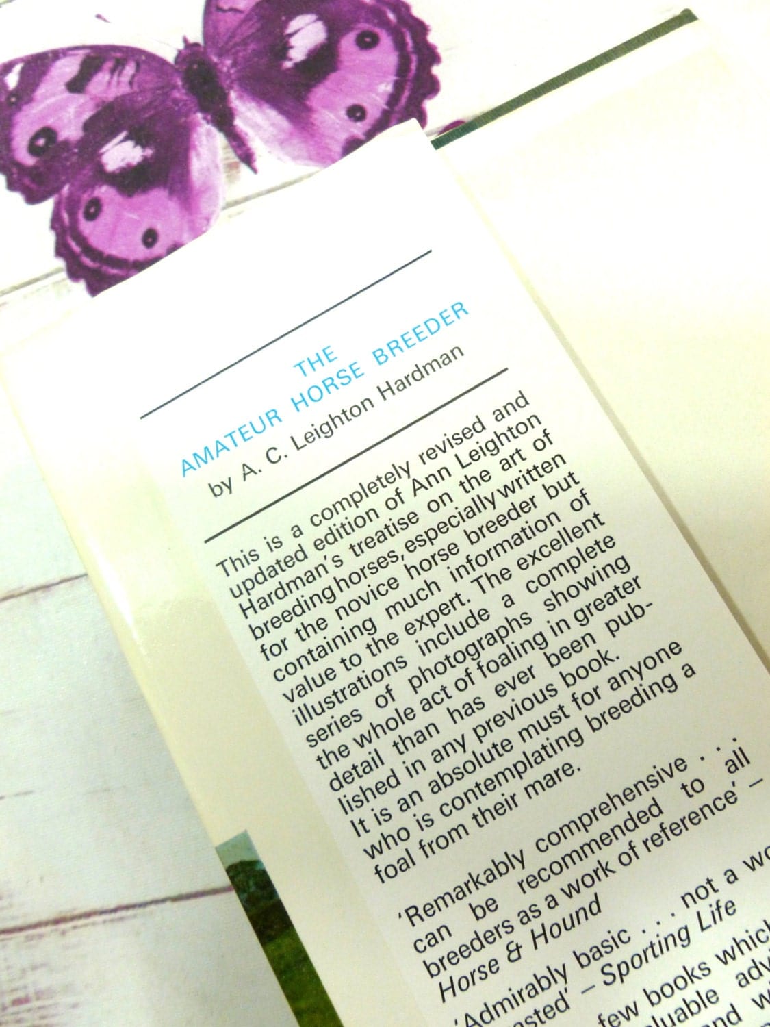 Blurb on the jacket of The Amateur Horse Breeder vintage Handbook for the Novice Horse Breeder 1974 showing text: This is a completely revised edition...