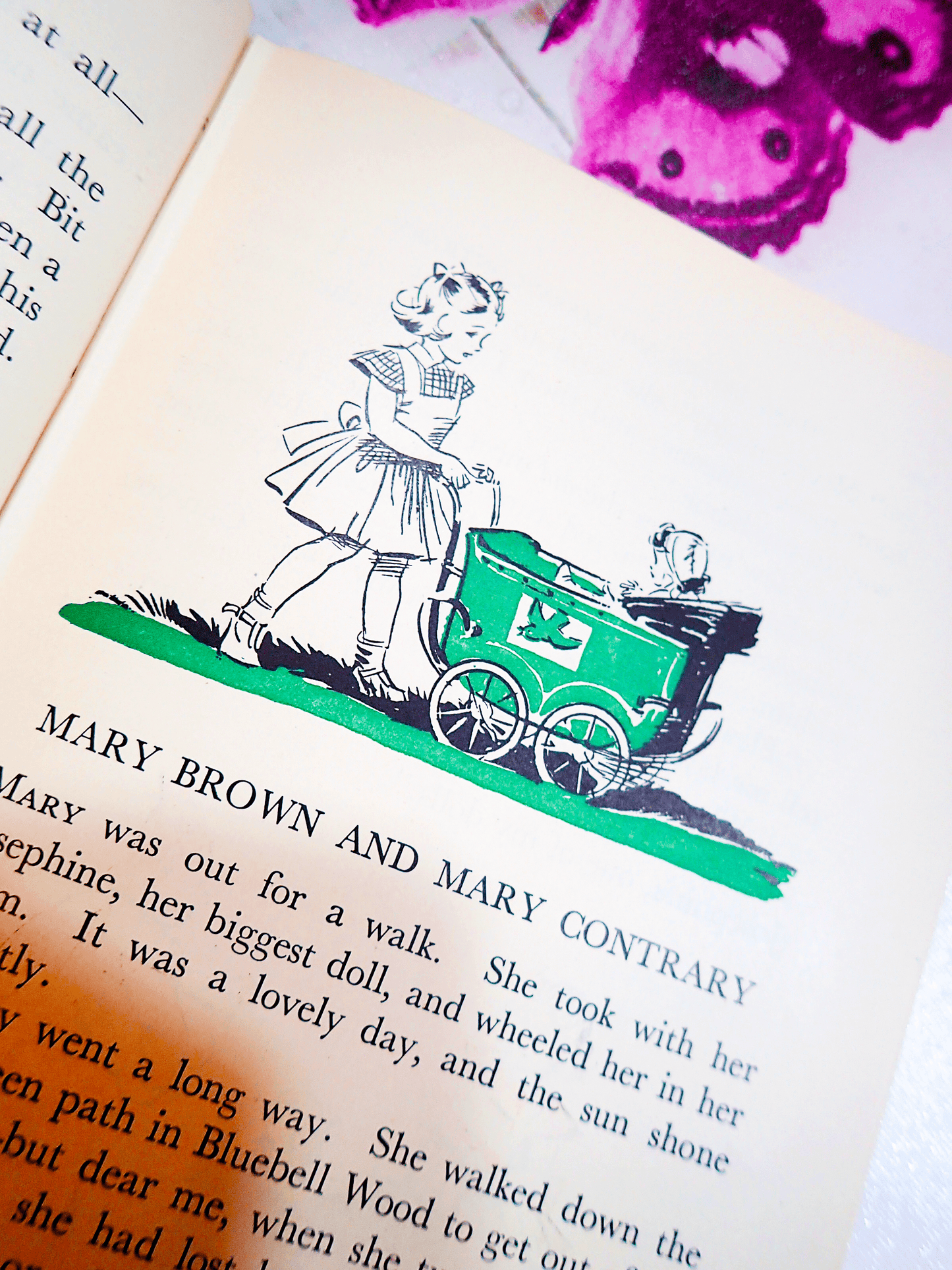 Astonishing Ladder Enid Blyton Hardback First Edition Vintage Childrens Book 1950's Eileen Soper