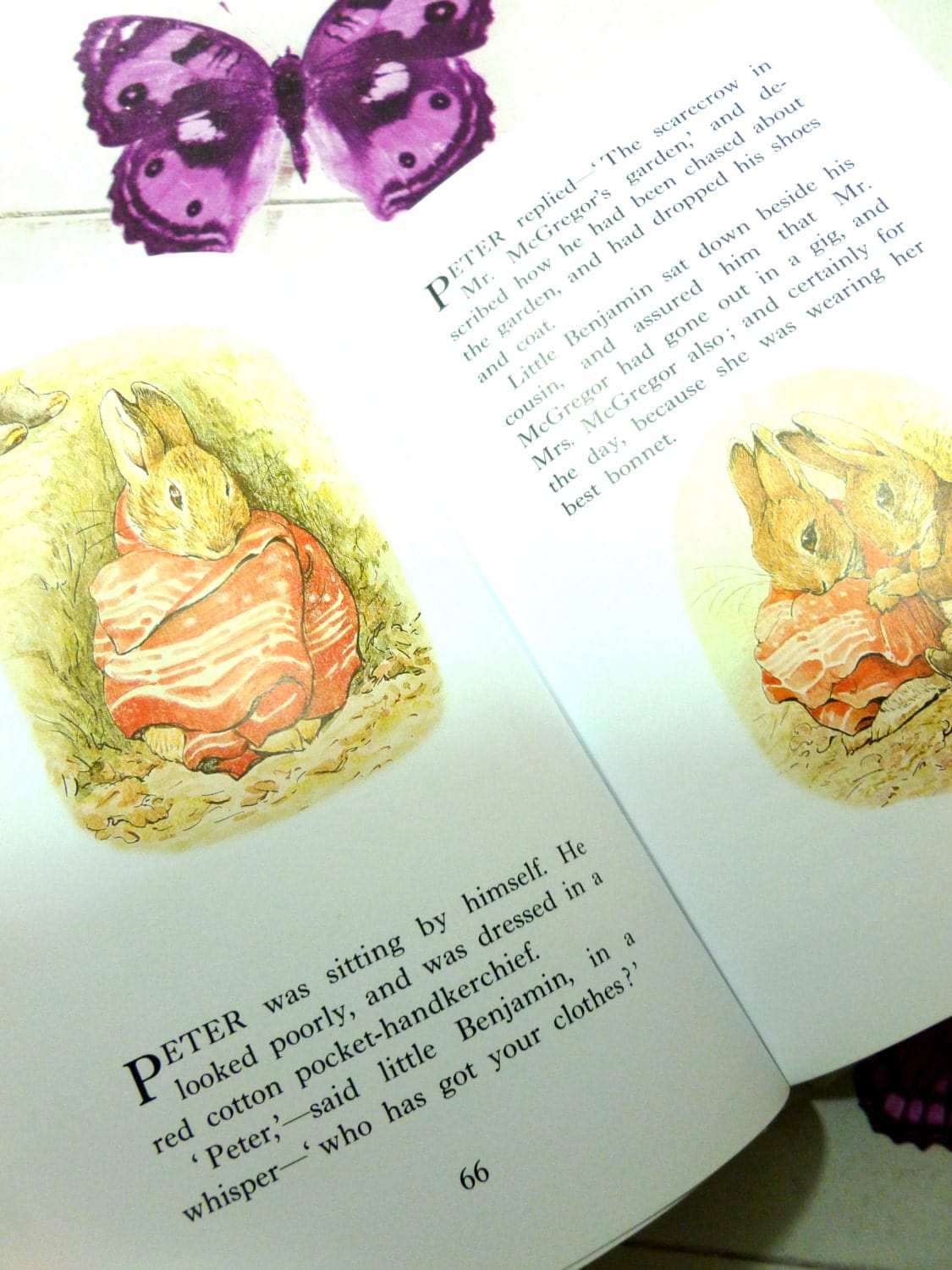 Illustrated pages from Beatrix Potter Treasured Tales showing Peter Rabbit wrapped up in Red Spotted handkerchief.