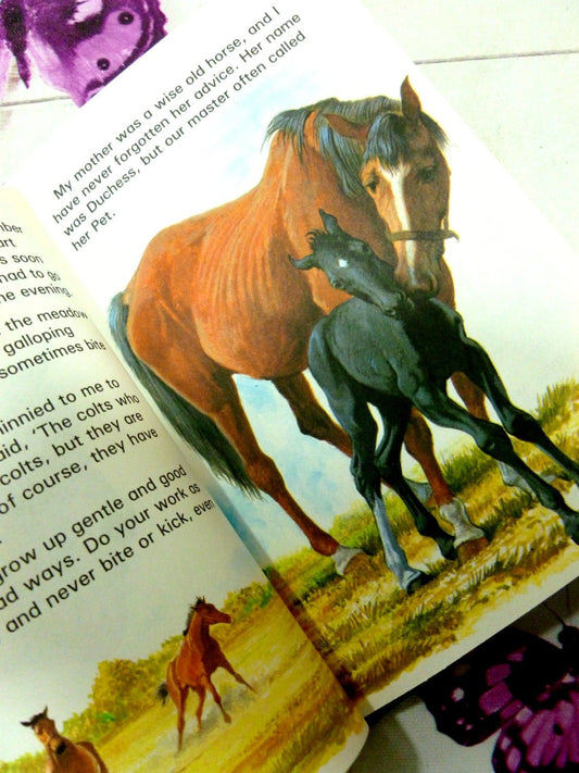 Illustrated pages of Black Beauty Vintage Ladybird Book Well Loved Tales showing beautiful Bay horse with black foal with star on its forehead.