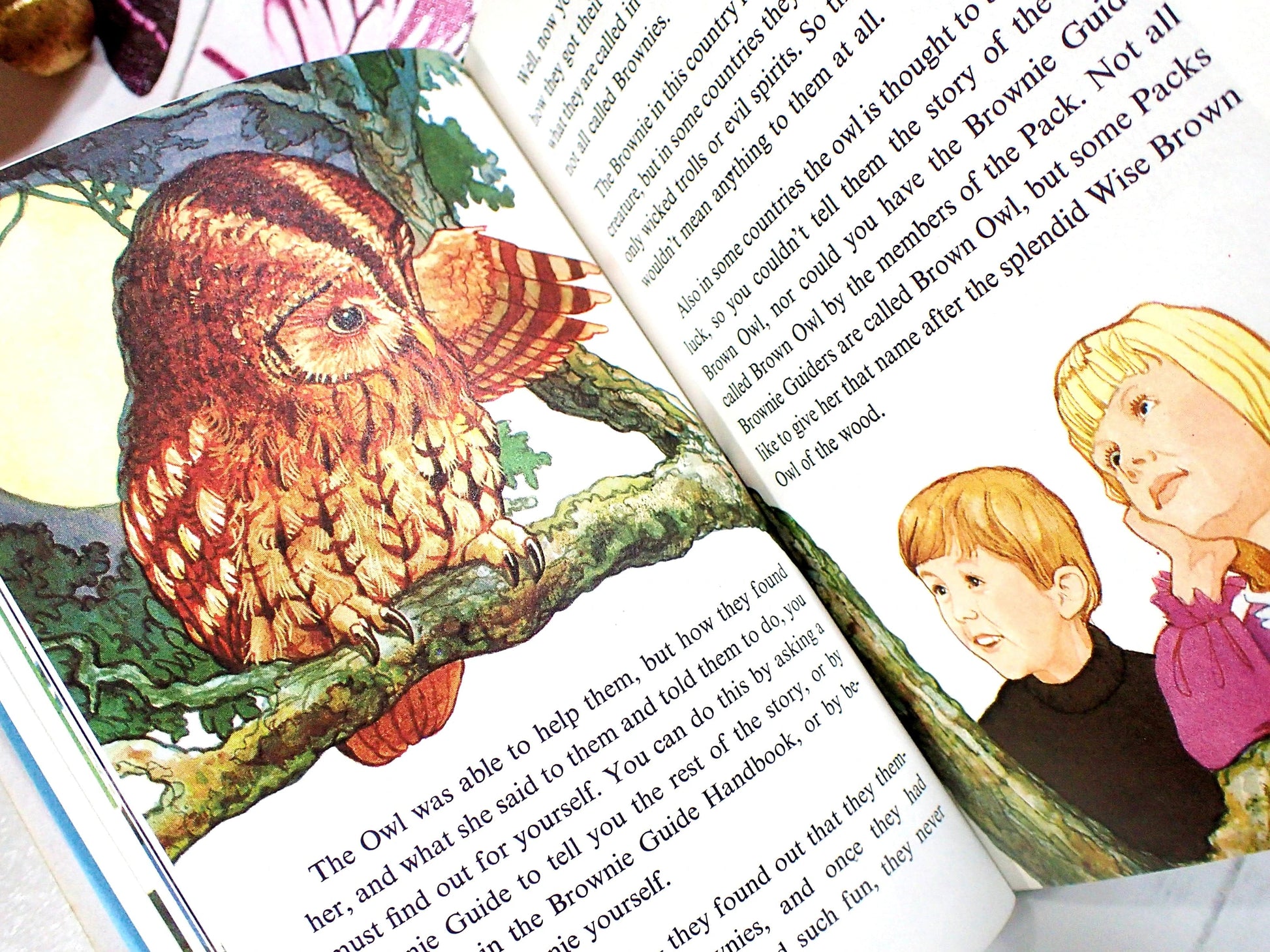 Not all Brownie guiders are called Brown Owl but some packs like to give her that name after the owl in the wood