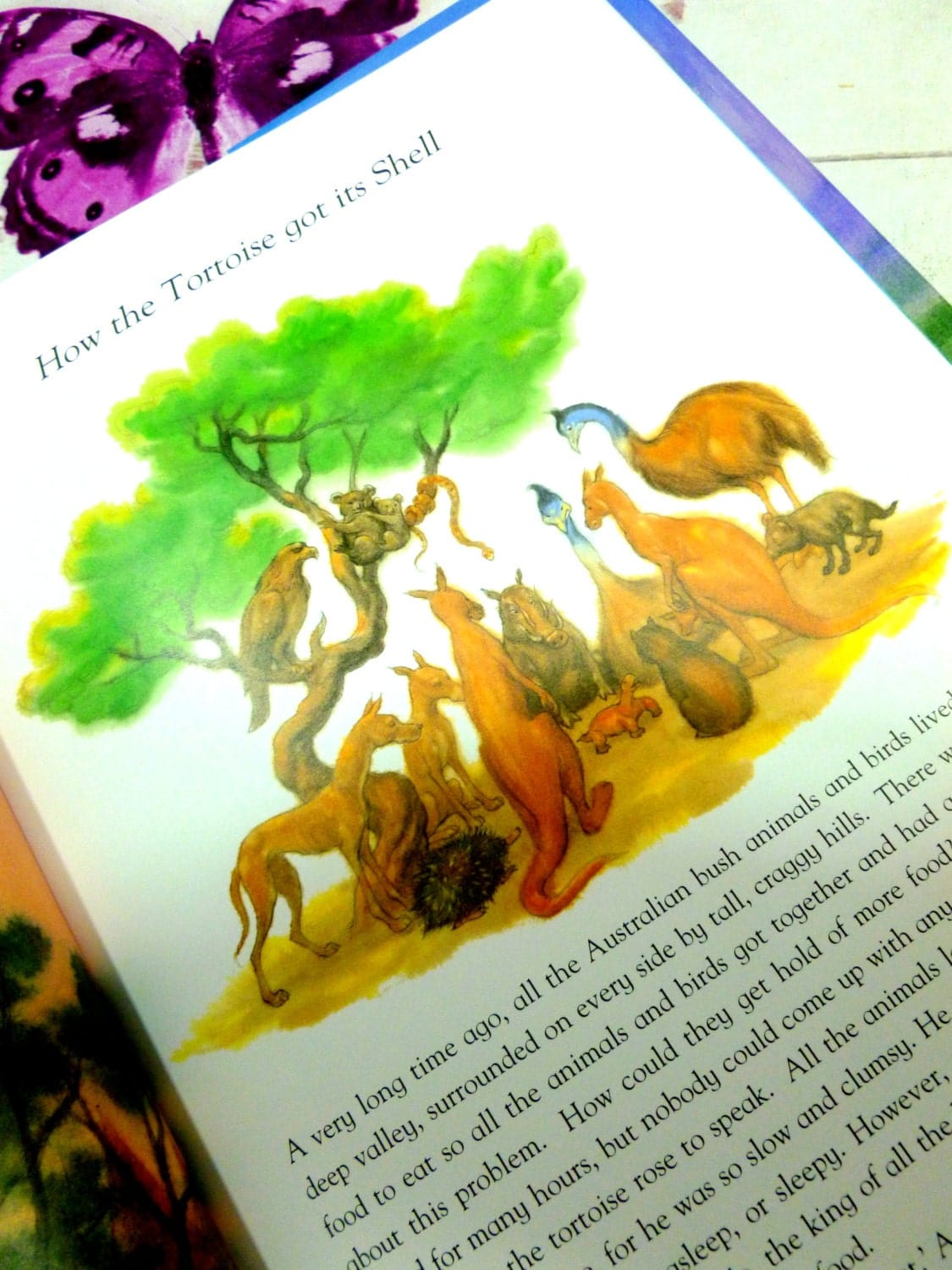 Illustration from vintage children's book Chaucer the Cat and the Animal Pilgrims showing Australian Bush Animals.