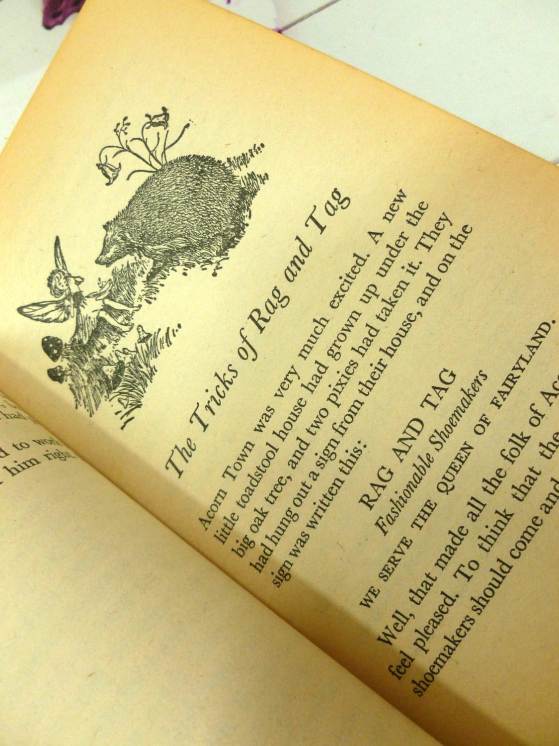 Illustrated page in Enid Blyton Storytime Book Vintage Paperback Armada 1970s showing a hedgehog looking at a fairy with wings.