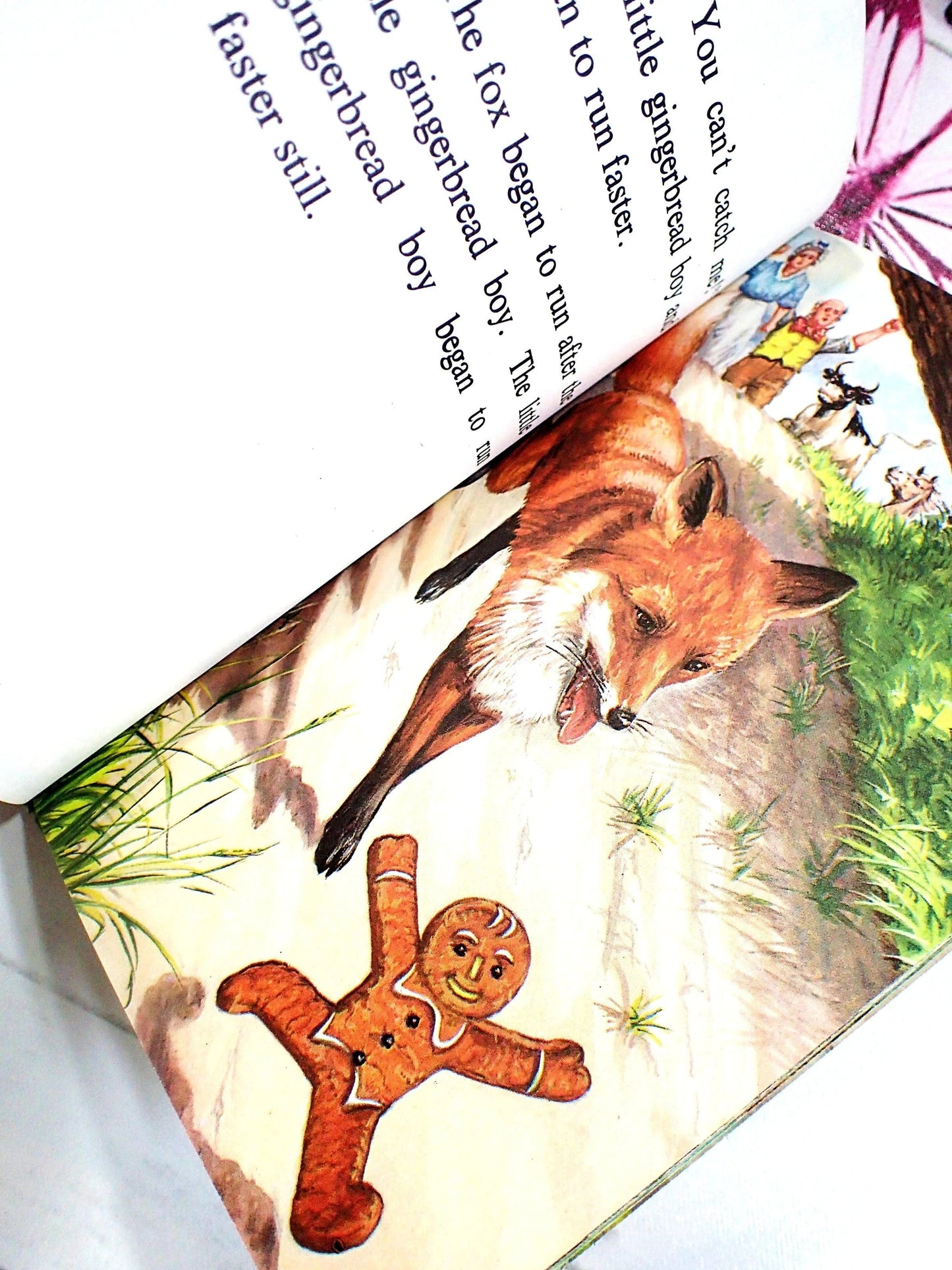 The Gingerbread Boy runs away from the cunning fox.