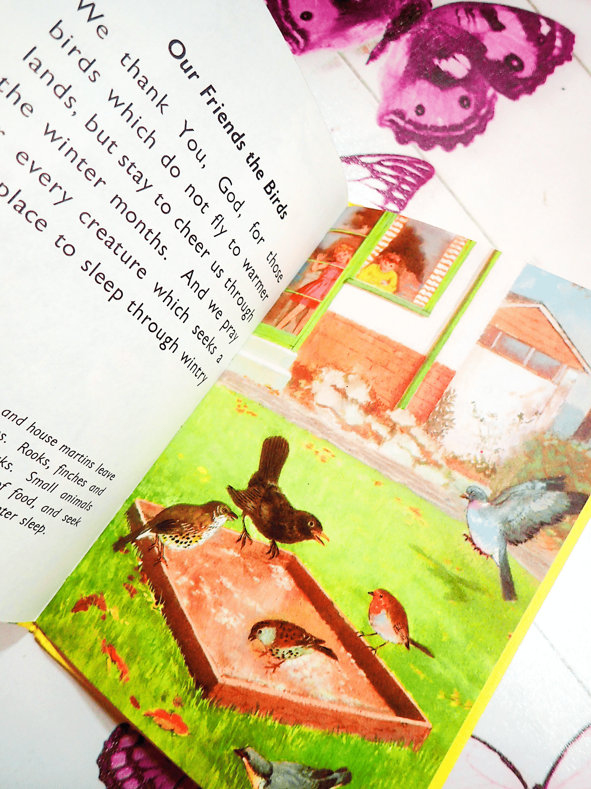 Pages from The Ladybird Book of Prayers Through the Year for Children Beautifully Illustrated 1970's showing birds feeding in a garden.