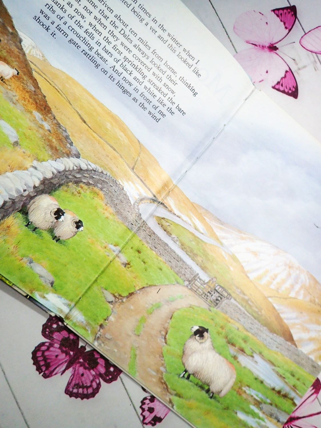 Moses the Kitten James Herriot Vintage Children's Book Rescue Cat and Pig Bedtime Story