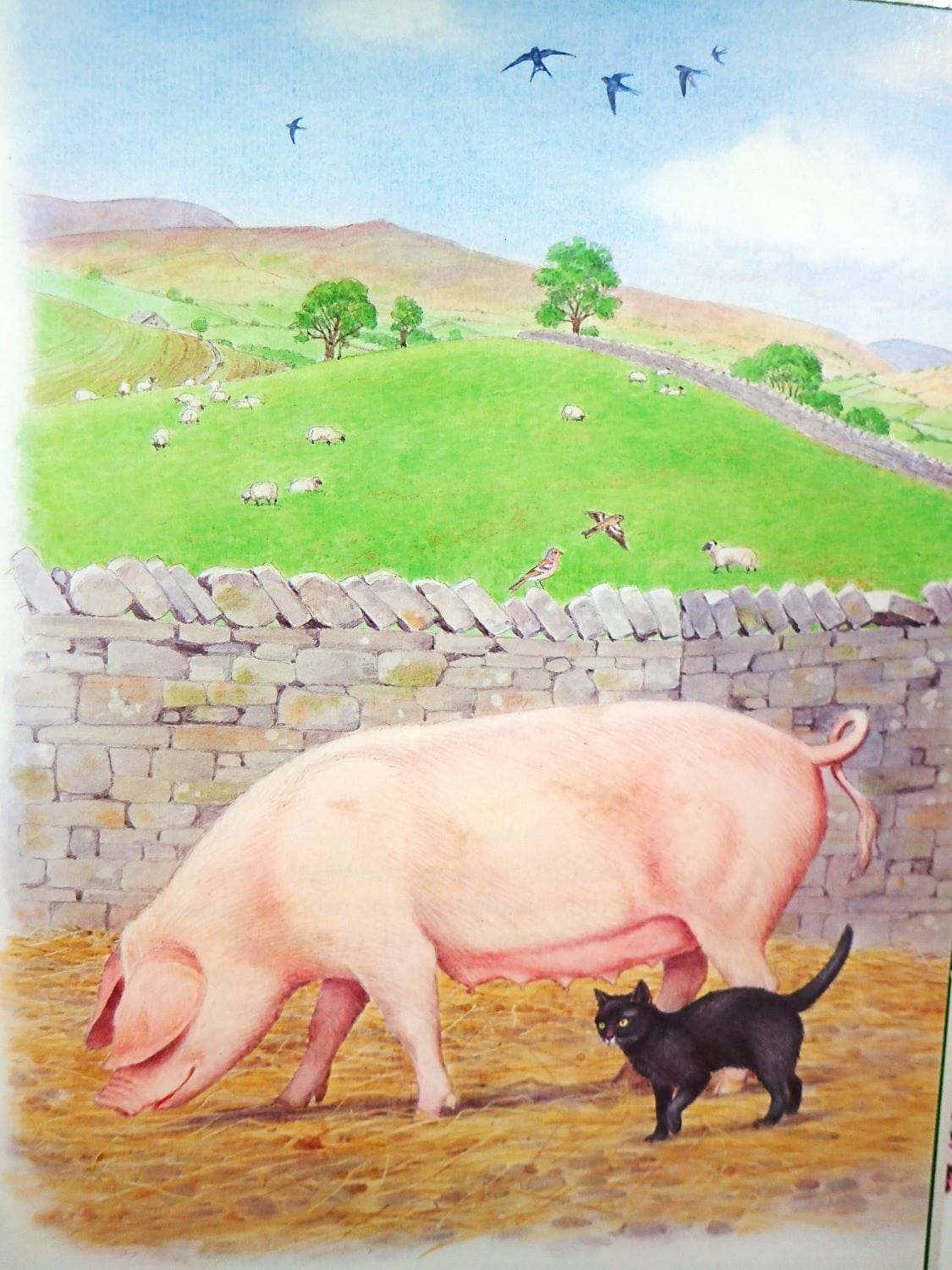 Moses the Kitten James Herriot Vintage Children's Book Rescue Cat and Pig Bedtime Story