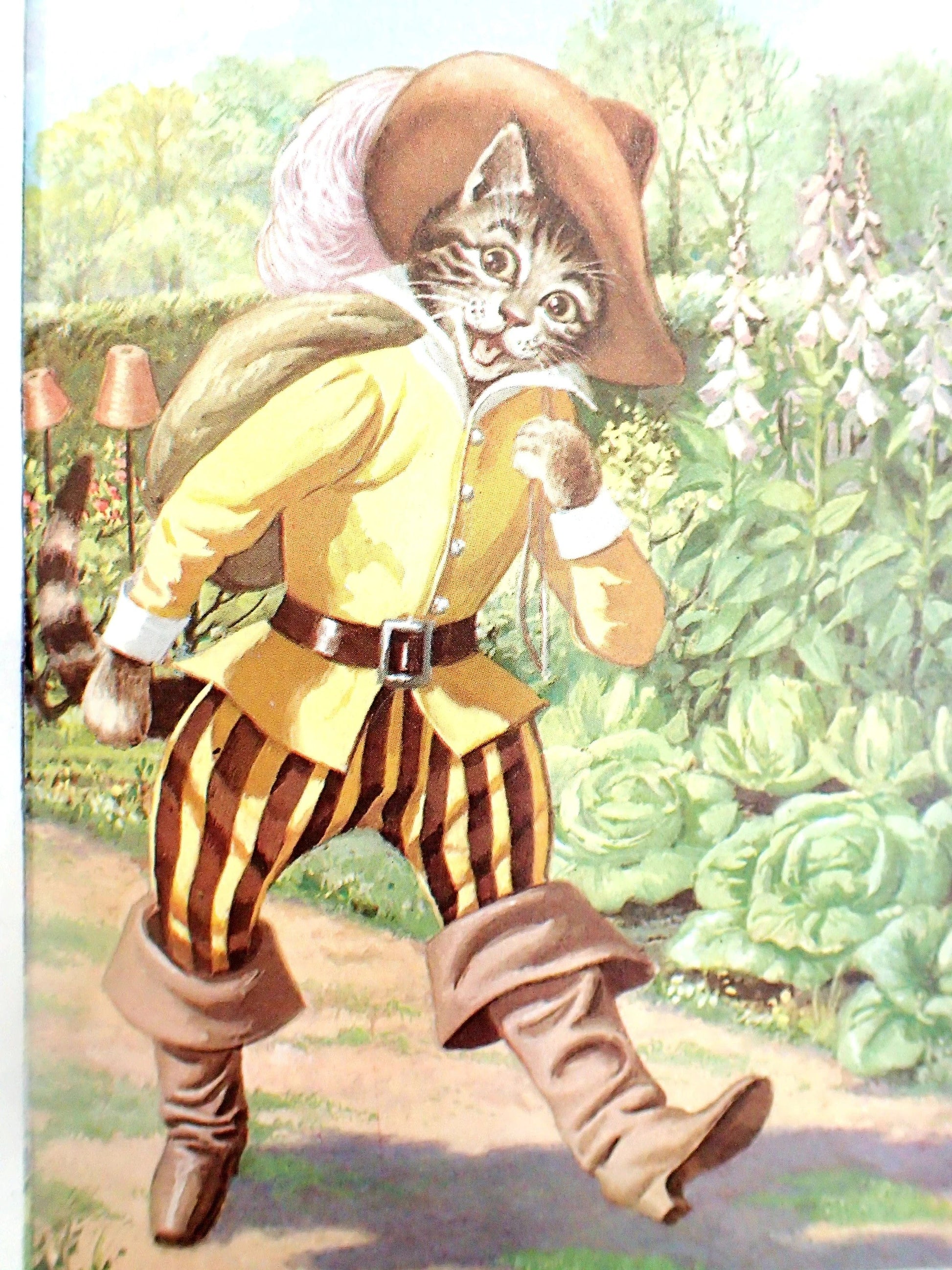 Puss in Boots in Hat and stripey trousers.