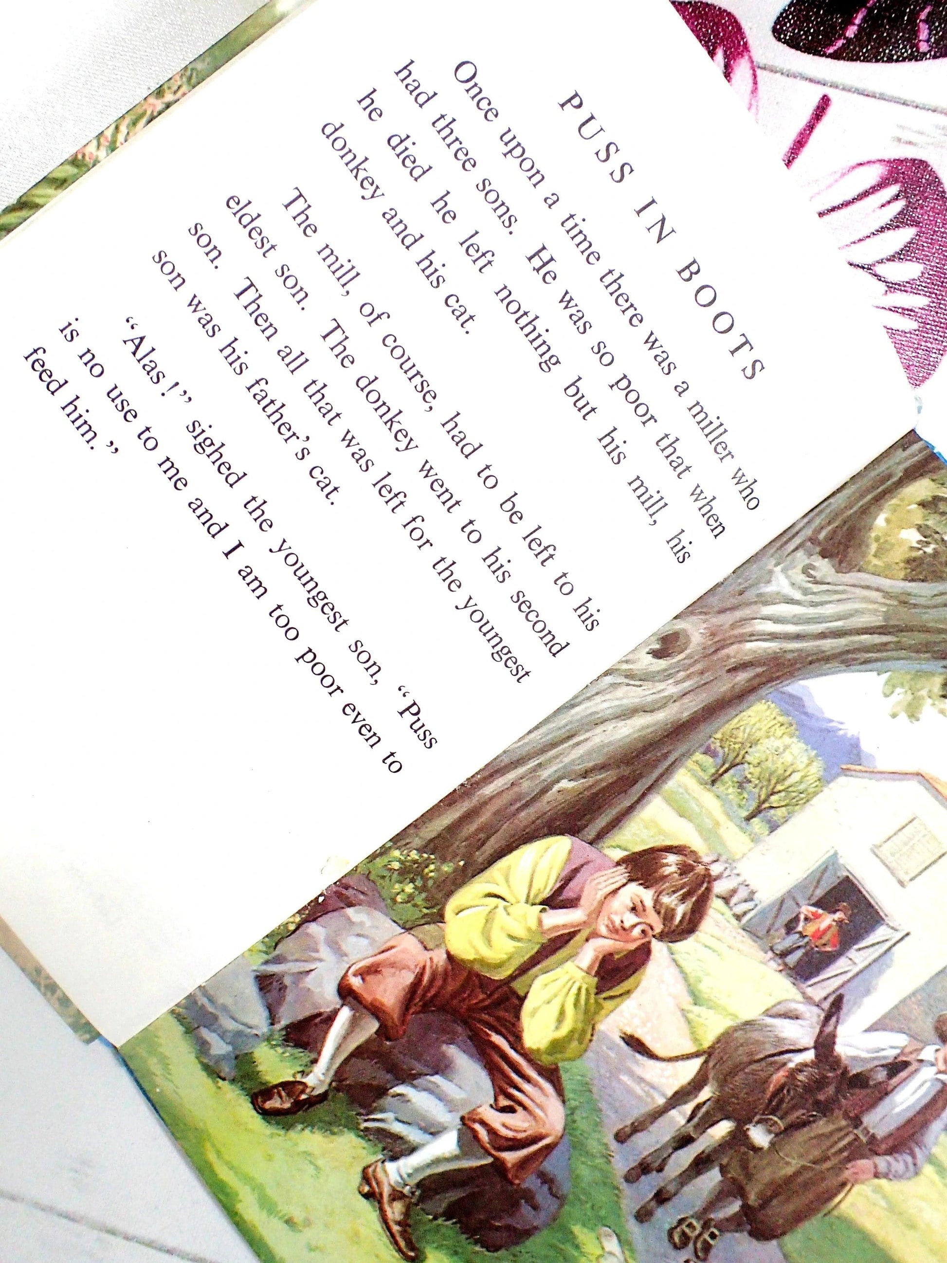 He was so poor that when he died he left nothing but his mill, his donkey and his cat.