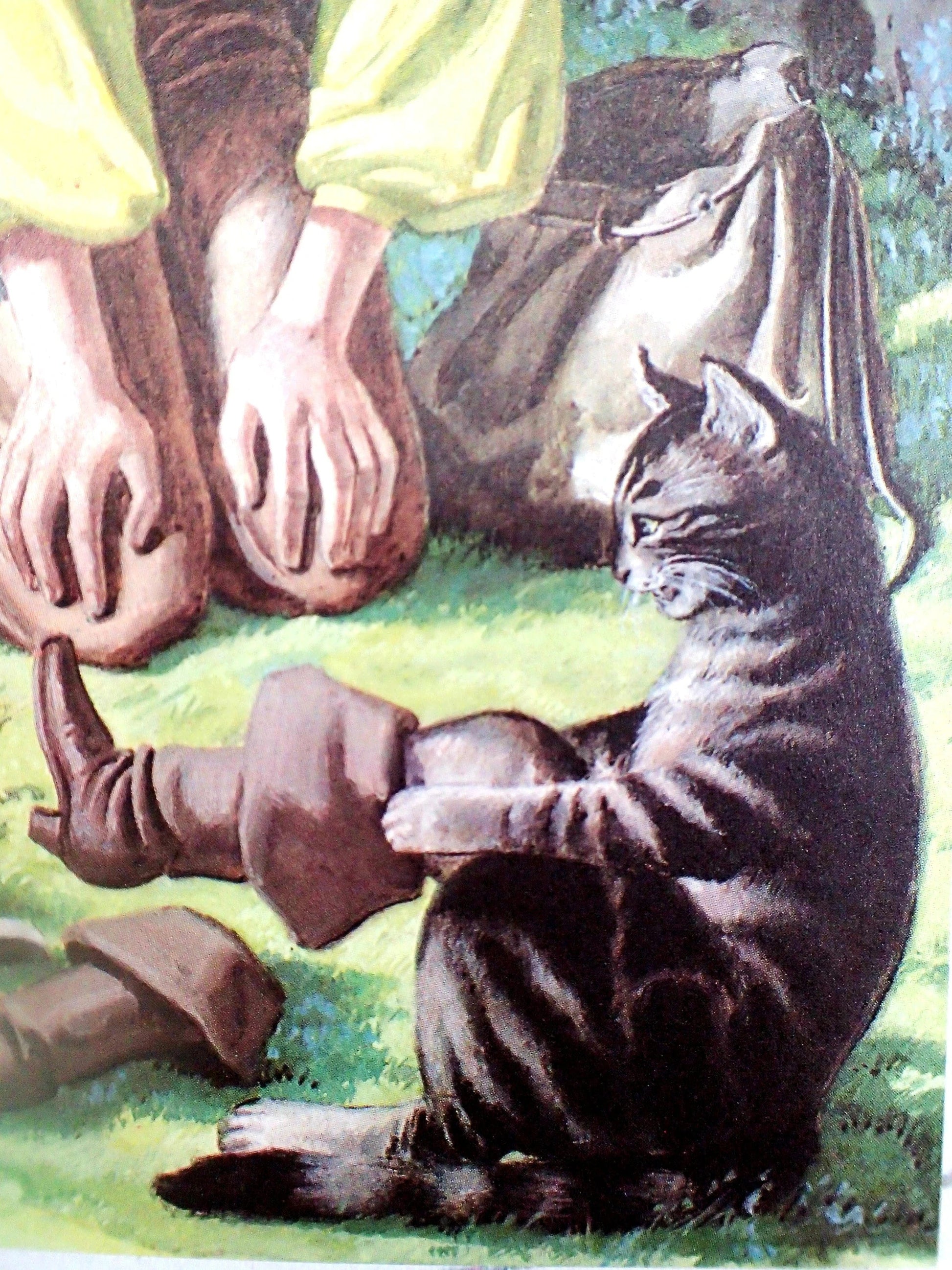 Puss in Boots hero cat pulling on boots.