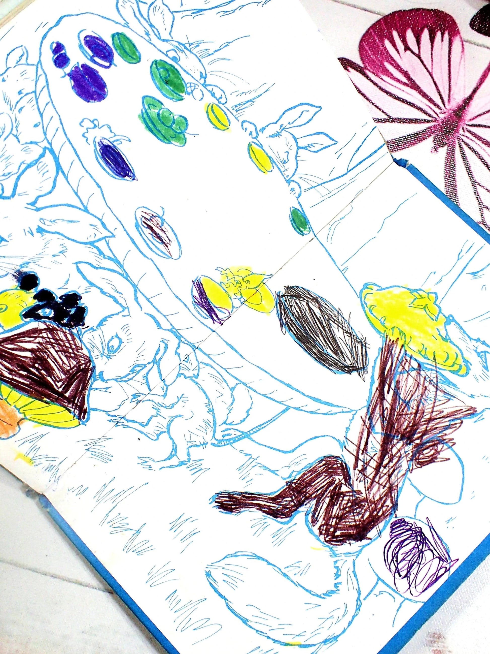 Ladybird endpapers coloured in felt tip and crayon by a child.