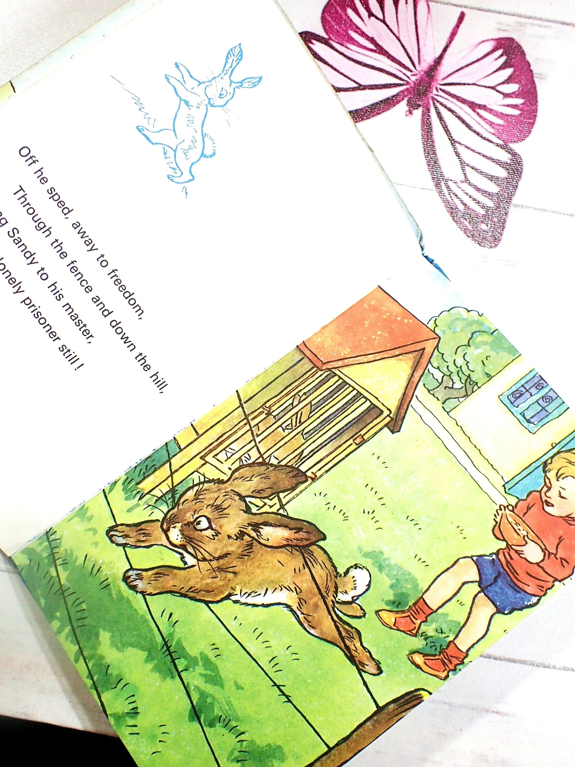 Rabbit escapes whilst little boy brings food.