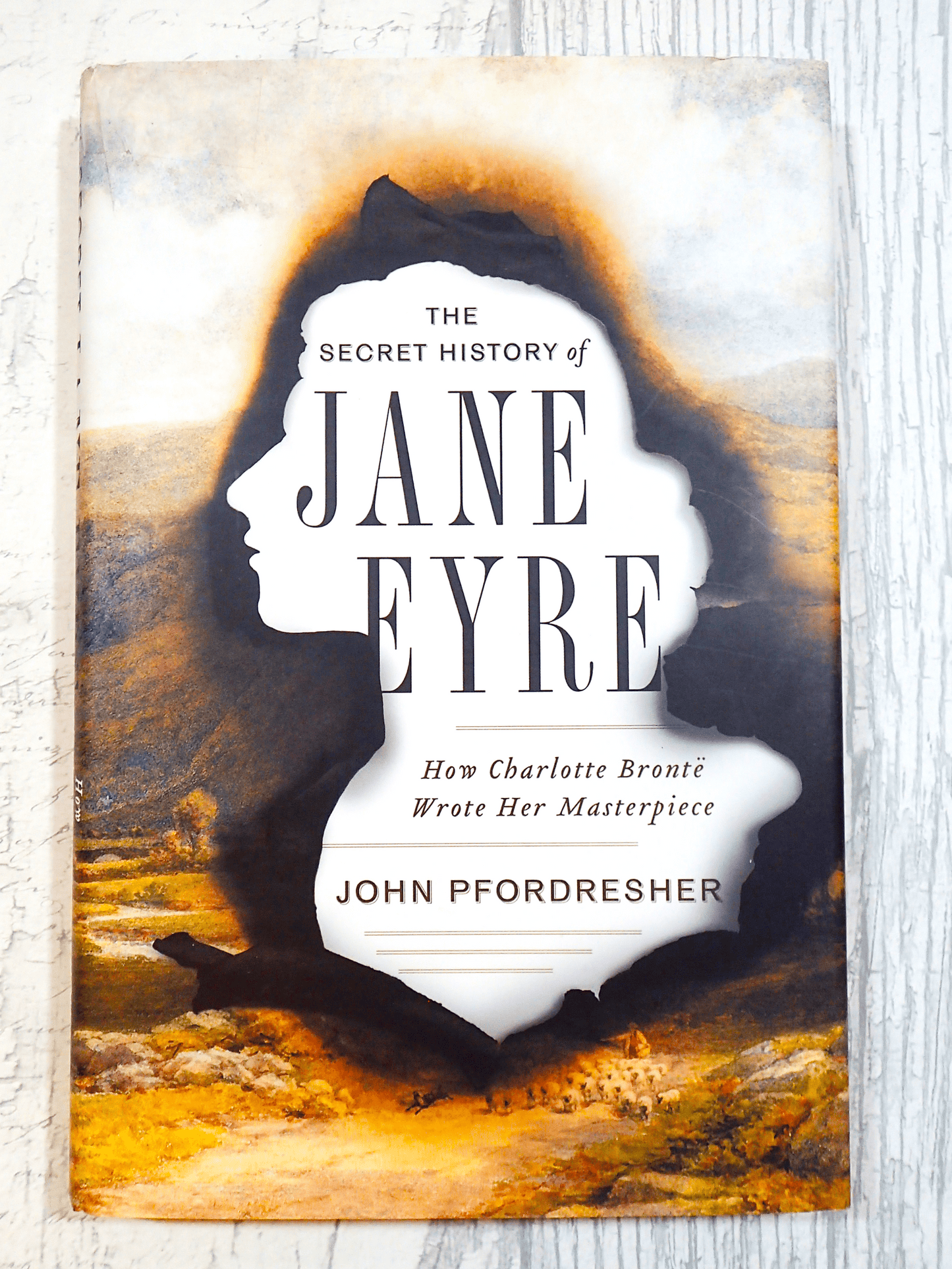 Front cover of The Secret History of Jane Eyre John Pfordresher Vintage Hardback First Edition showing silhouette of Jane Eyre burnt over image of moorland against a light background.