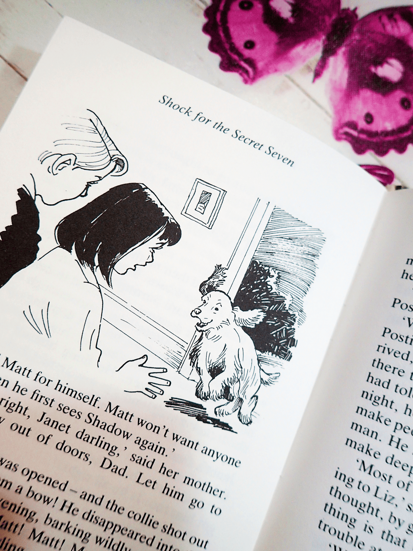 Illustration in Shock for Secret Seven Enid Blyton Vintage Childrens Book hardback 1990's Mystery Adventure showing a cute spaniel running towards two children