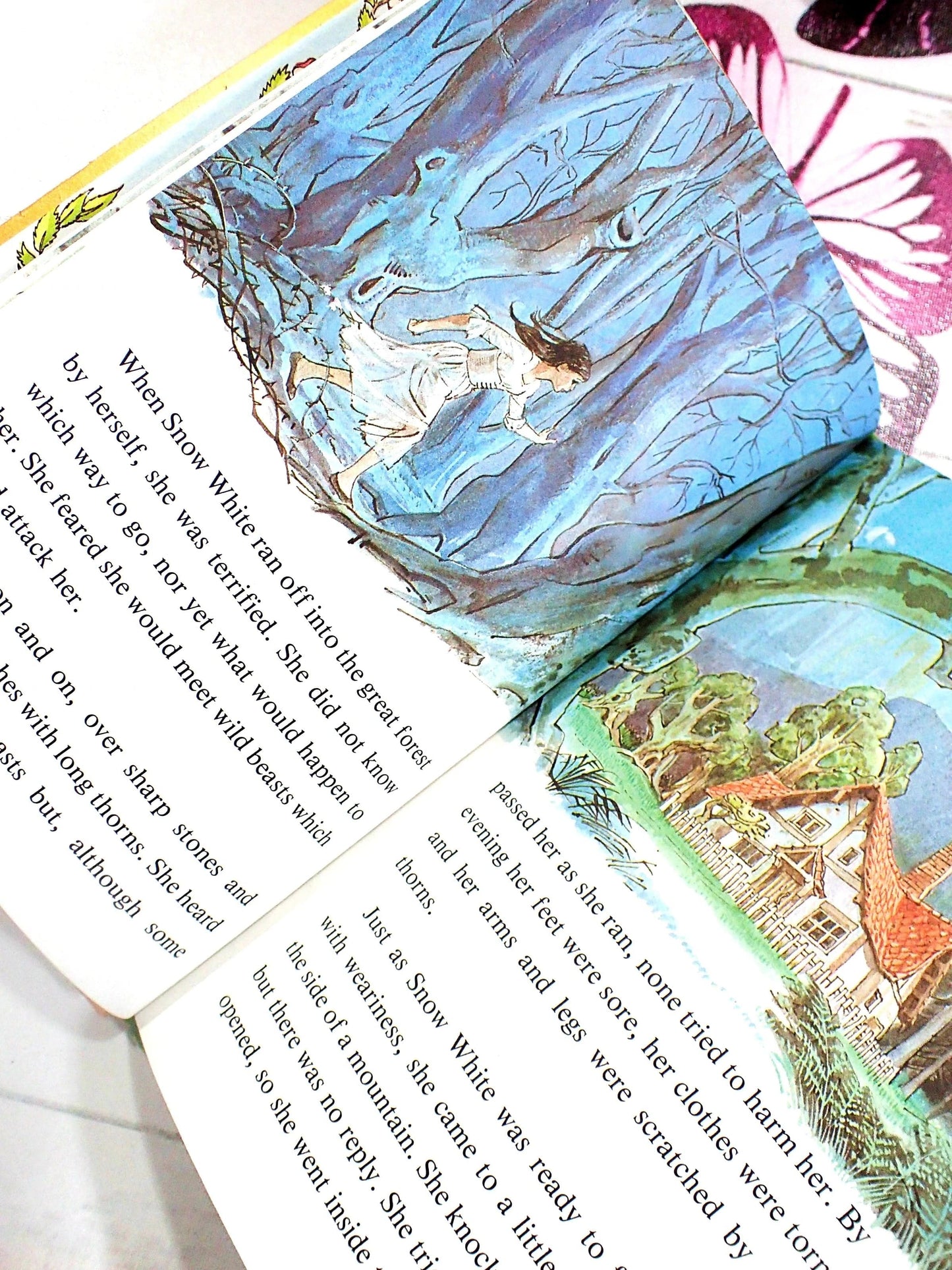 Snow White ran off into the Great Forest.