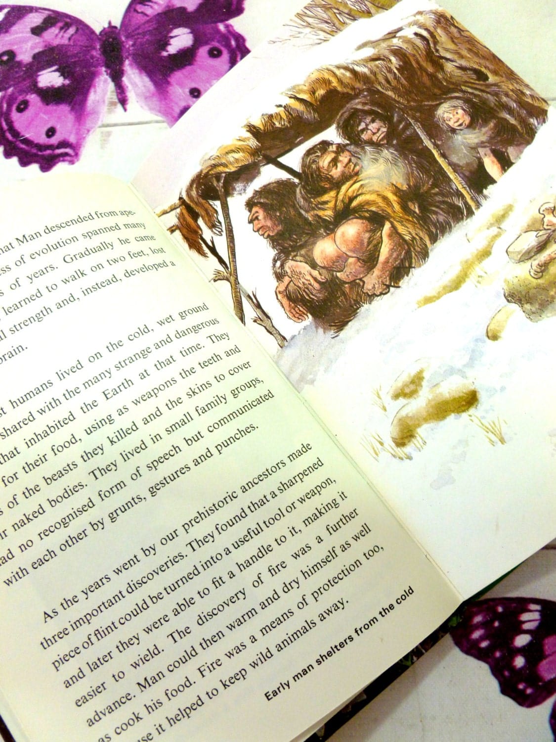 Early Man shelters from the cold ladybird