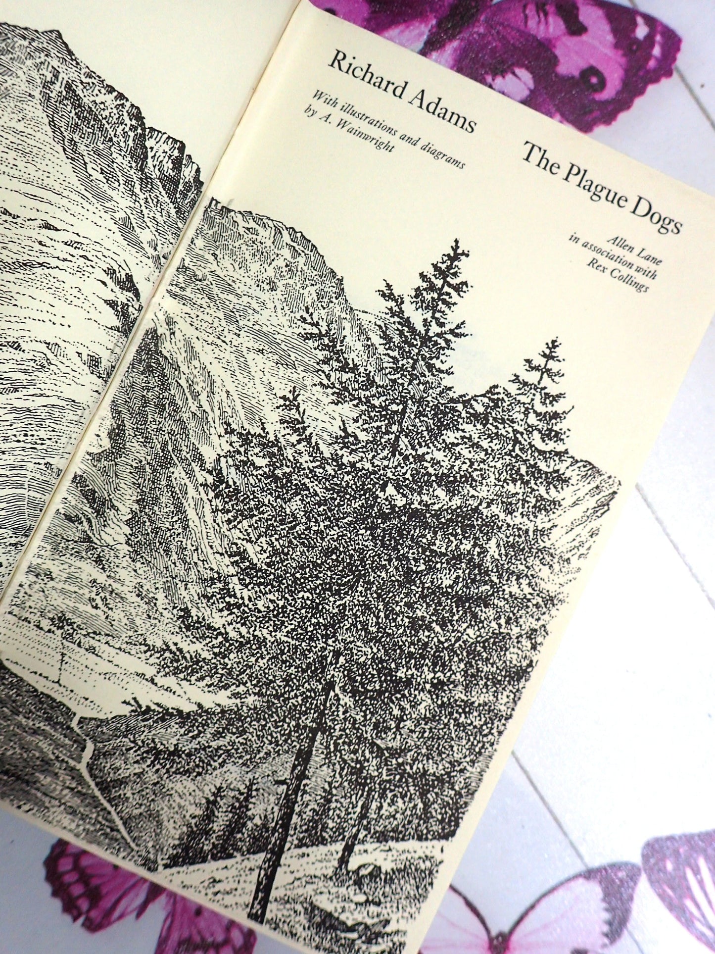 Illustration by A Wainwright in The Plague Dogs by Richard Adams