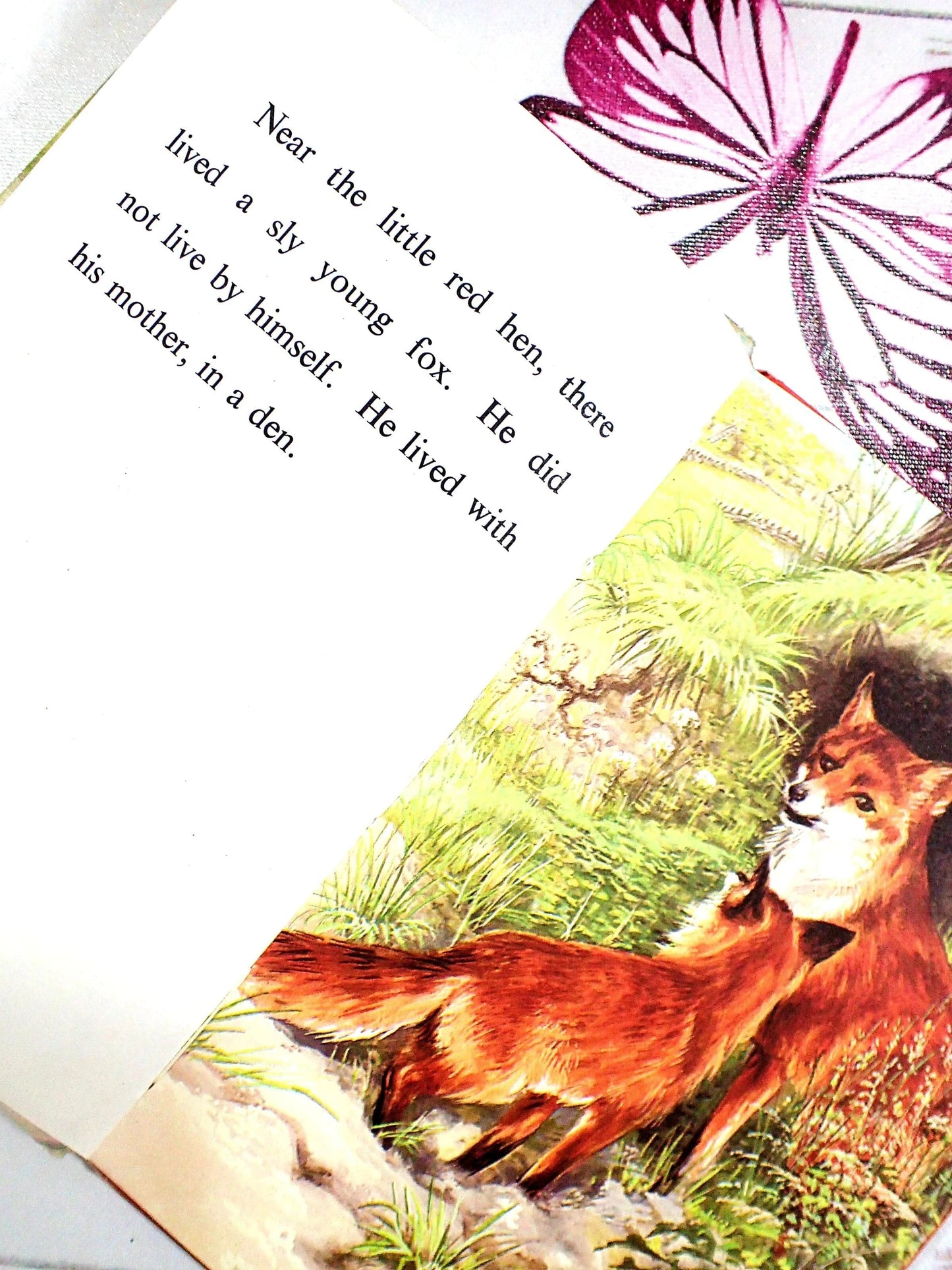 Near the little red hen, there lived a sly fox, with his mother in a den.