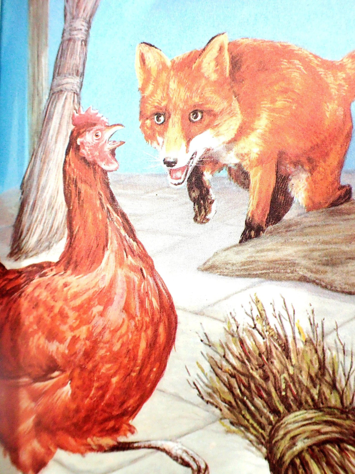The sly fox frightens the little red hen.