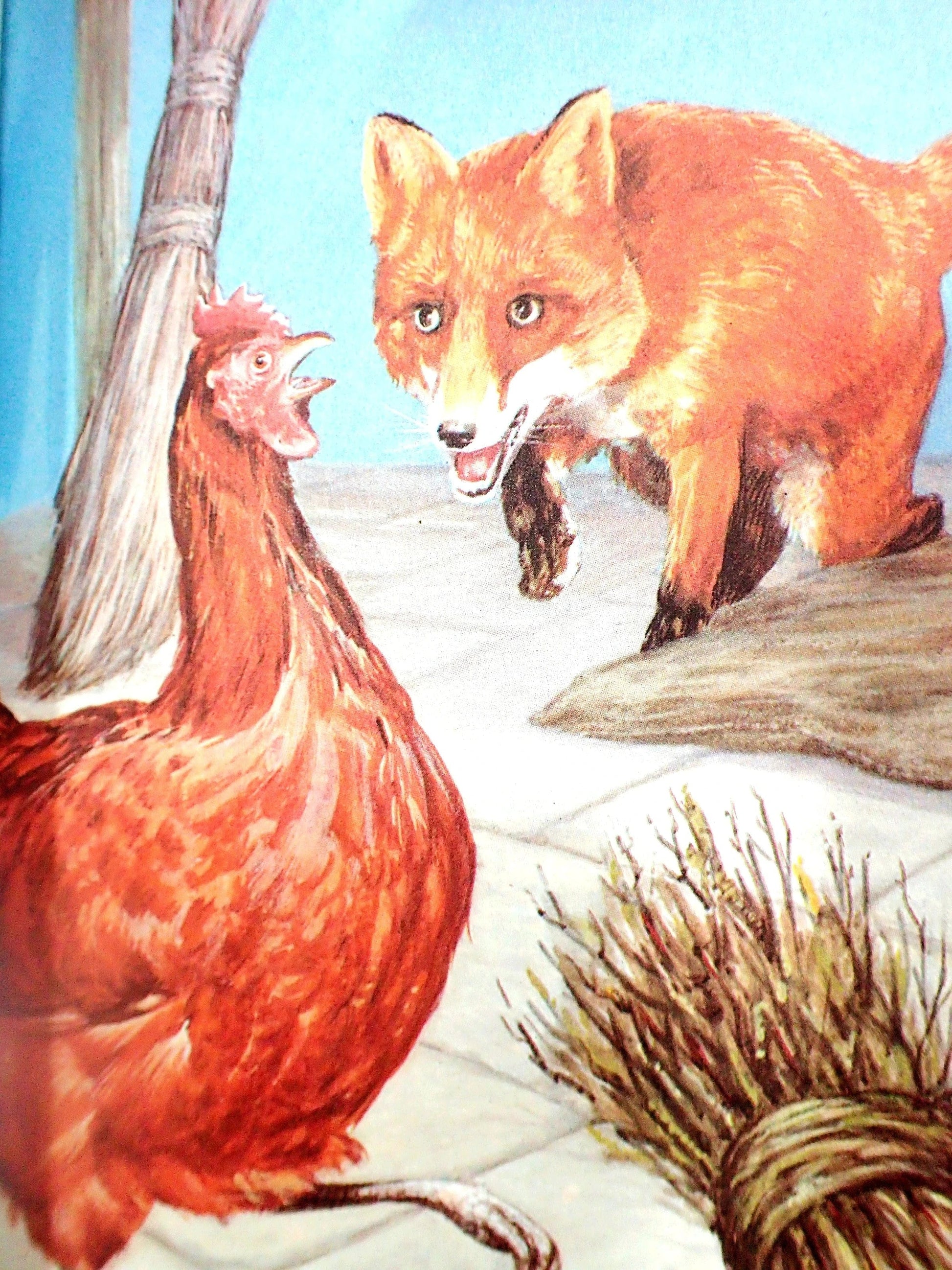 The sly fox frightens the little red hen.