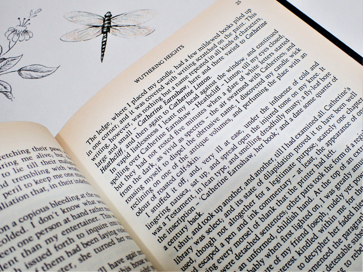 Pages of Wuthering Heights by Emily Bronte showing text: The ledge where I placed my candle...