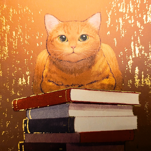 Our Latest Vintage Book Finds