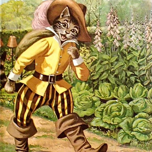 Vintage Ladybird Books