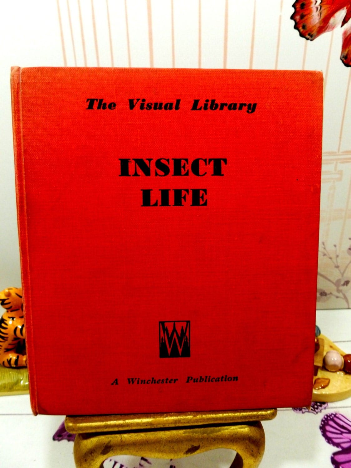 Insect Life Fun Educational Cartoon Book  Life of Honey Bee, Ant, Spider, Silkworm, Fly, 1940s Great Illustrations 1st Ed
