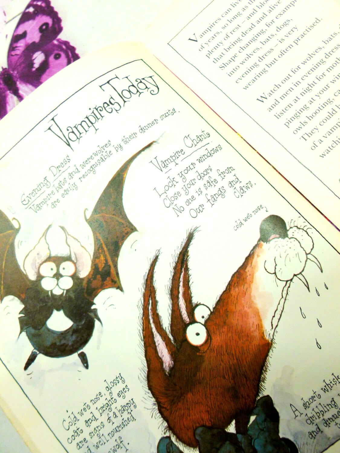Vampires by Colin Hawkins Humorous Childrens Comic Spooky Book about Vampires and their lifestyles and history