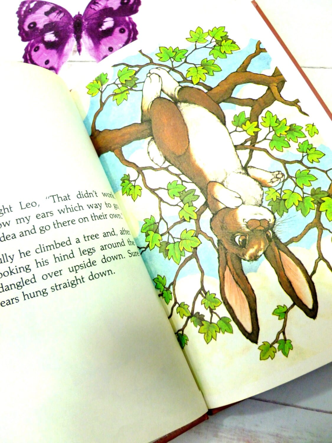 Leo the Lop Fun Lop Eared Bunny Rabbit Vintage Childrens Story Book Hardcover Cosgrove