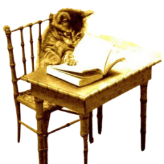 Kittys Tales brand mascot kitten reading a book sat at a table