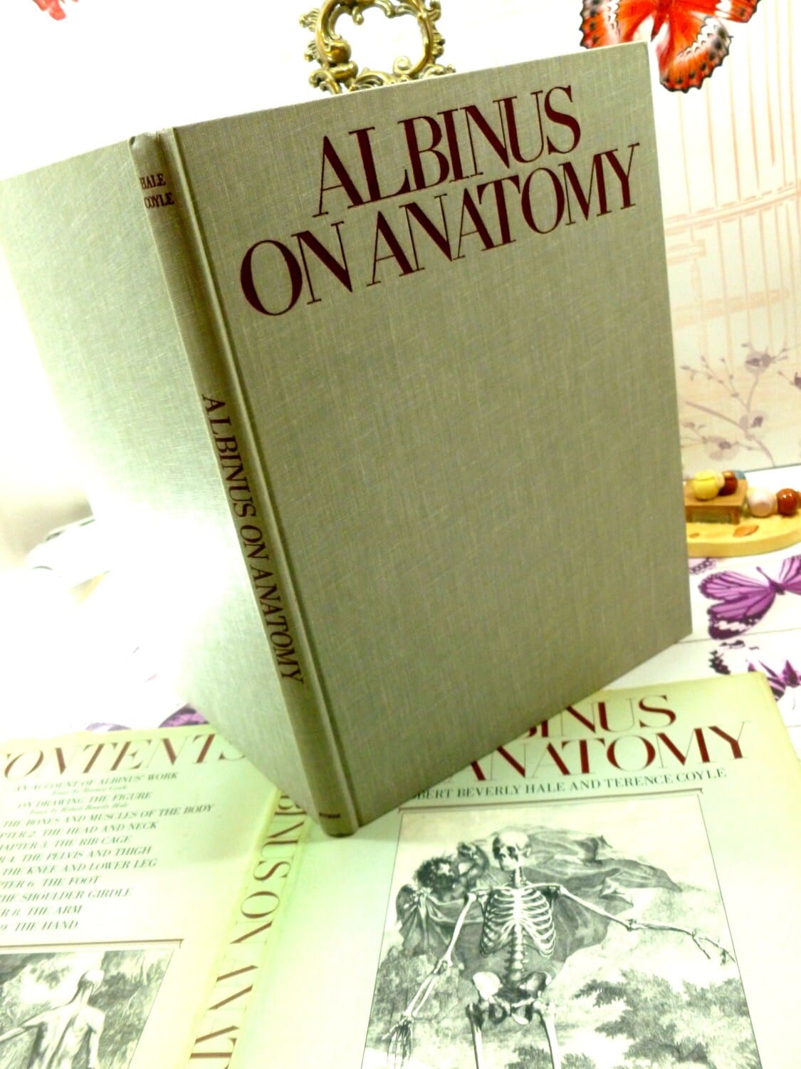 Grey cloth binding of Albinus on Anatomy First Edition 1979 with maroon titles. 