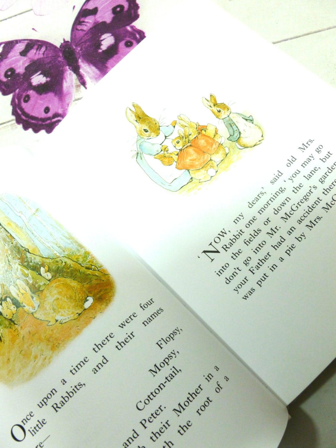 Illustrated pages from Beatrix Potter Selected Tales showing Mrs Rabbit and Benjamin Bunny and his brothers and sisters. 