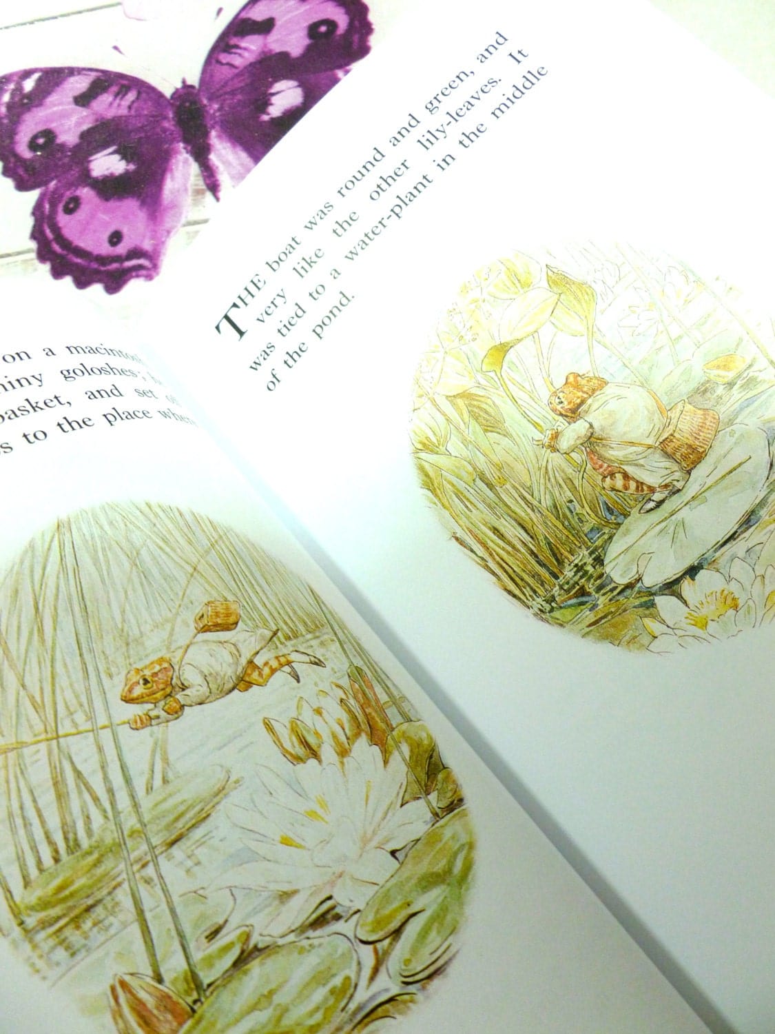 Illustrated pages from Beatrix Potter Treasured Tales showing Jeremy Fisher the frog on the lily pond. 