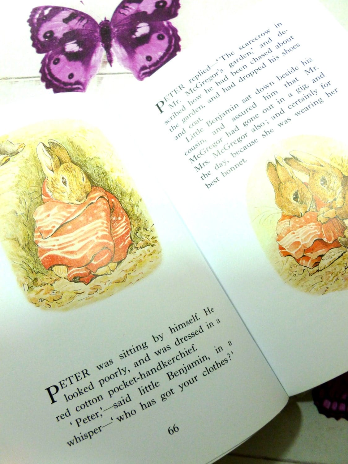 Illustrated pages from Beatrix Potter Treasured Tales showing Peter Rabbit wrapped up in Red Spotted handkerchief. 