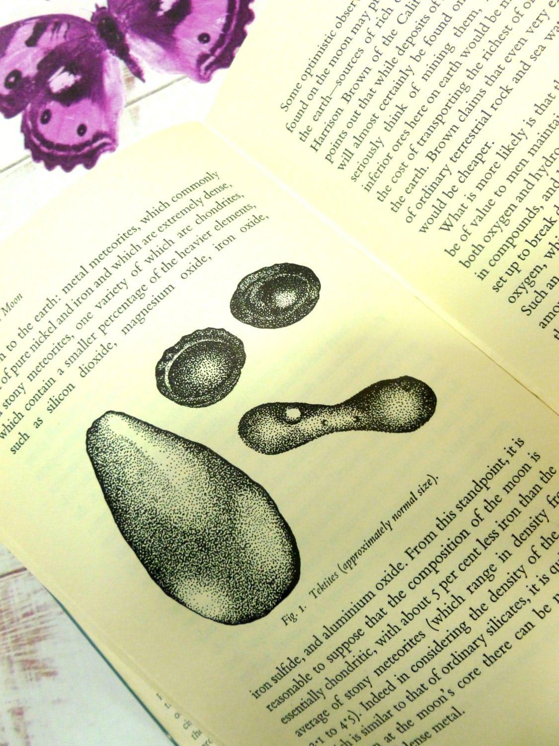 Black and white diagrammatical illustrations of Tektites in vintage hardback book from the 1960's Exploration of the Moon.