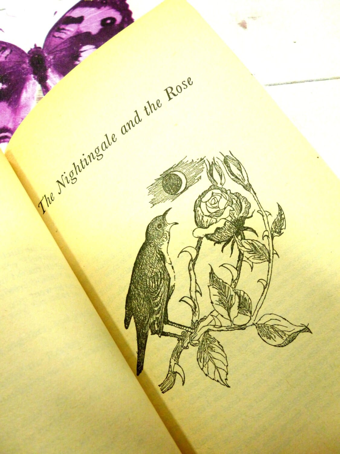 Page of The Happy Prince and other Stories Classic Childrens Book Vintage Puffin Book Paperback 1970s showing black and white drawing of the Nightingale and the Rose. 