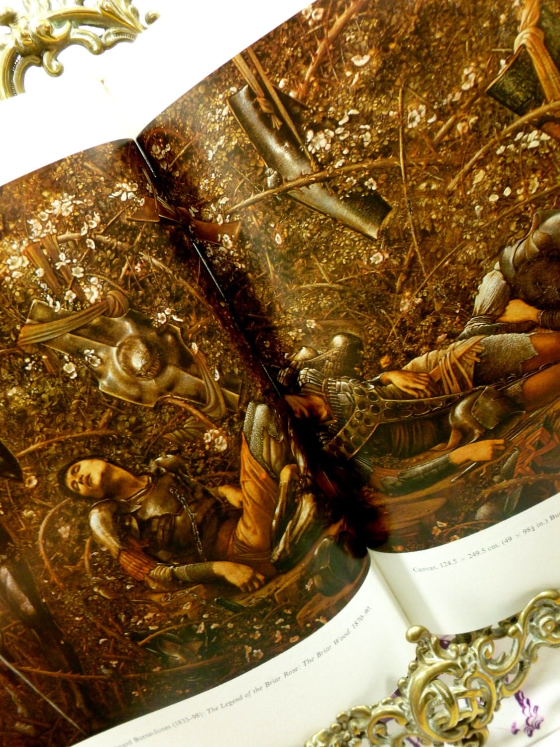 Pages from Magnificent Dreams vintage hardback book about Burne Jones and The Victorian Pre Raphaelites showing a double page photographic reproduction of a pre-raphaelite painting. 