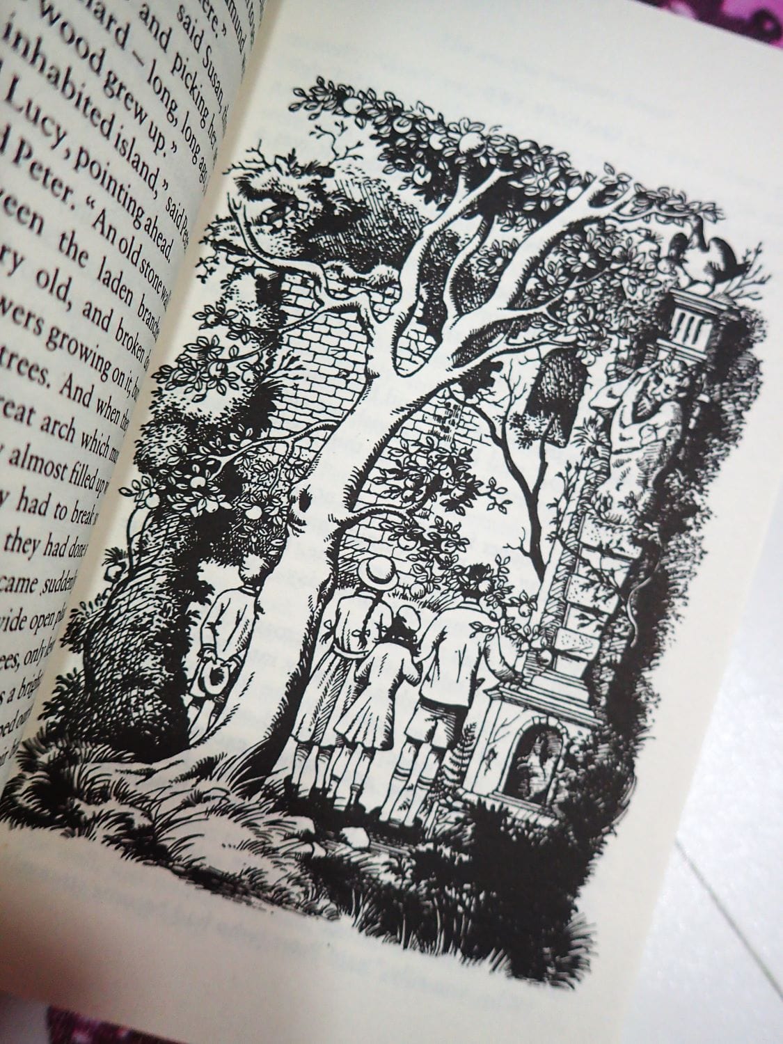 Illustraton of the pevensie children in Prince Caspian C. S. Lewis Vintage Children's book Chronicles of Narnia series