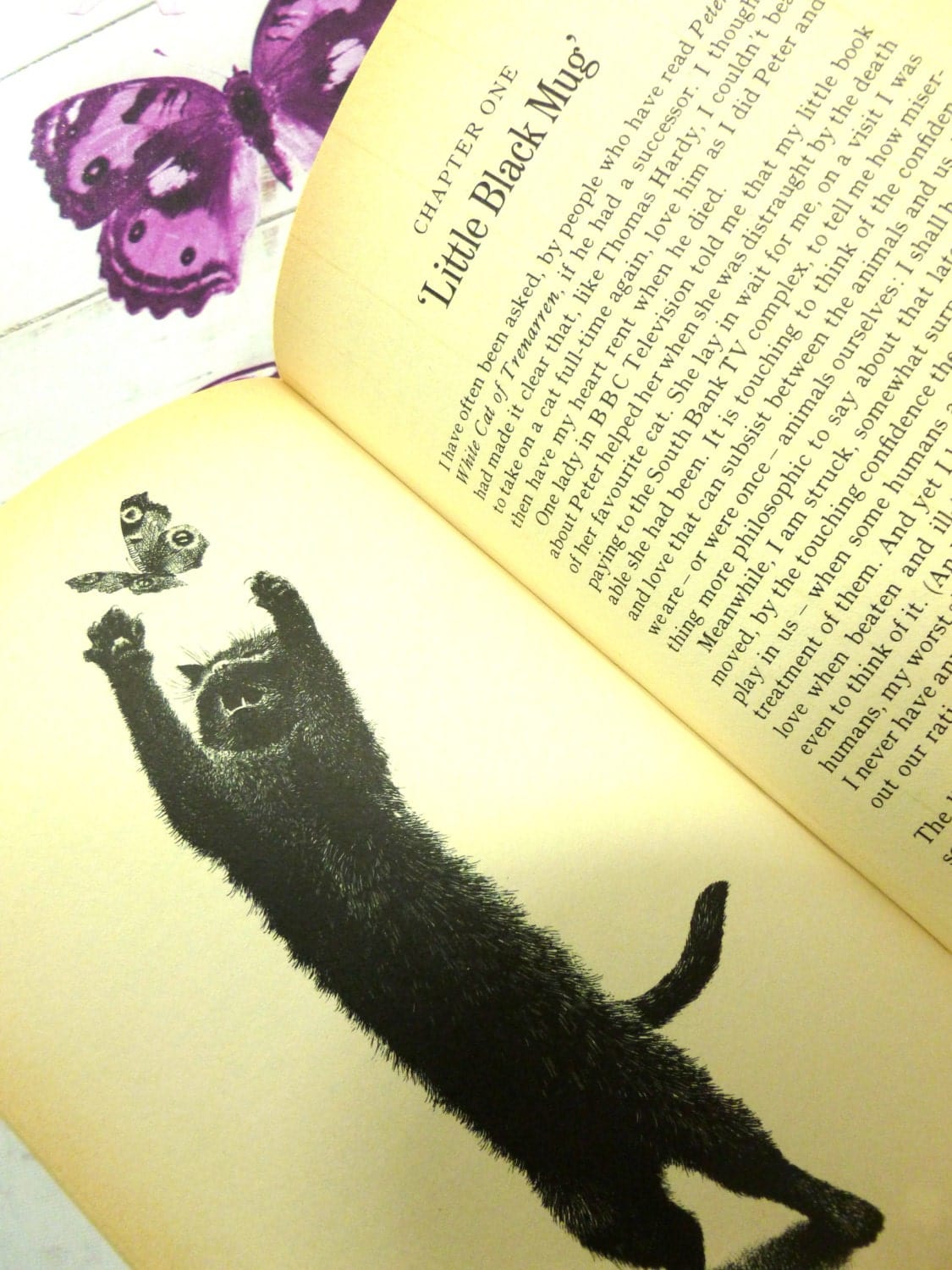 Illustration from A Quartet of Cornish Cats 'Little Black Mug' showing a cute black cat catching a butterfly. 