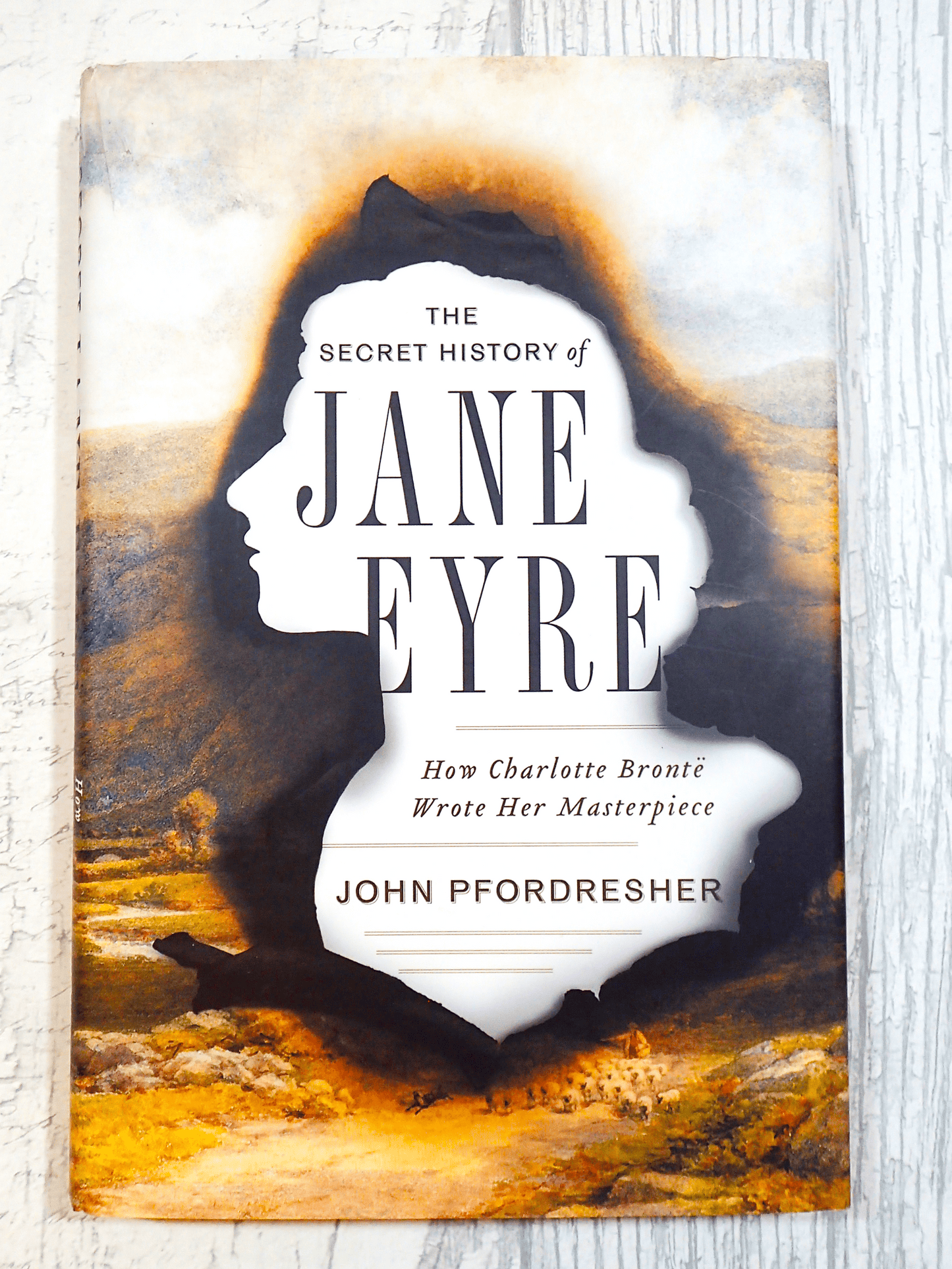 Front cover of The Secret History of Jane Eyre John Pfordresher Vintage Hardback First Edition showing silhouette of Jane Eyre burnt over image of moorland against a light background. 